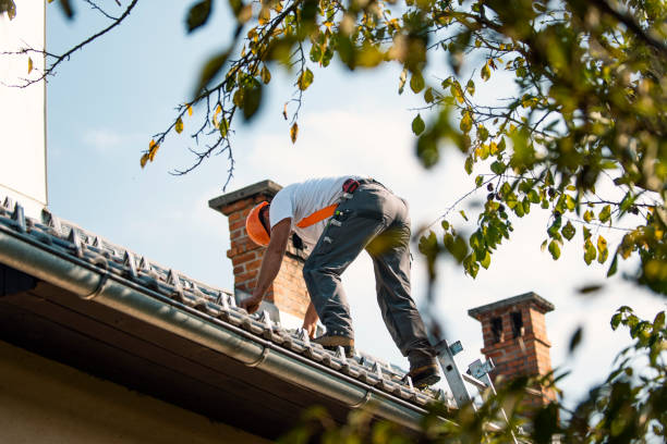 Best Commercial Roof Installation  in Port Barrington, IL