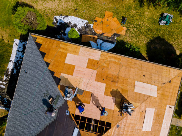 Best Metal Roofing Contractor  in Port Barrington, IL