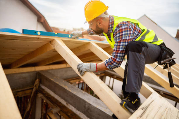 Best Roof Gutter Cleaning  in Port Barrington, IL