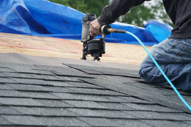 Best Shingle Roofing Installation  in Port Barrington, IL