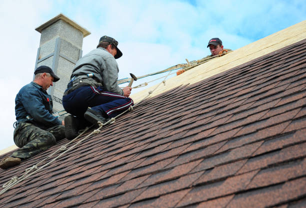 Quick and Trustworthy Emergency Roof Repair Services in Port Barrington, IL